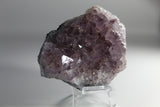 Amethyst Crystal Cluster