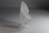 Clear Quartz Cluster